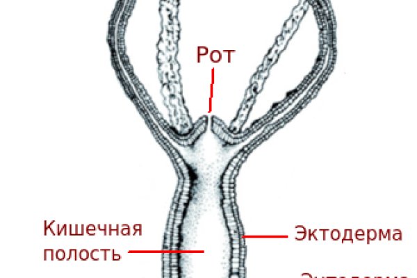 Зеркало кракен kr2web in