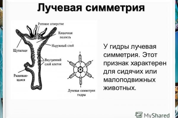 Вход в кракен даркнет